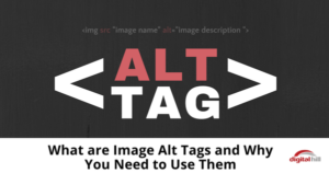 What are Image Alt Tags and Why You Need to Use Them-315