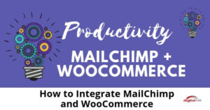 How-to-Integrate-MailChimp-and-WooCommerce-315