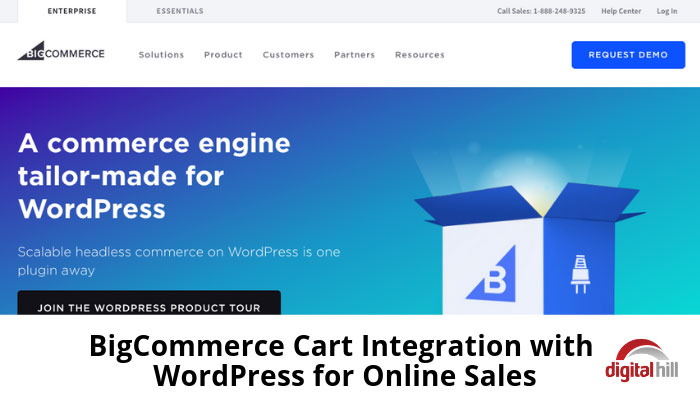How-Businesses-can-use-BigCommerce-Cart-Integration-with-WordPress-for-Online-Sales--700