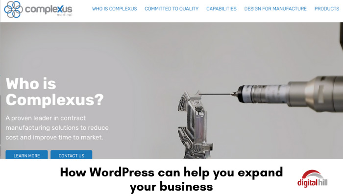 How-WordPress-can-help-you-expand-your-b-700