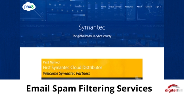 Email Spam Filtering Services - 315
