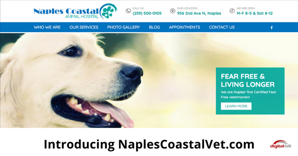 Introducing NaplesCoastalVet.com-315