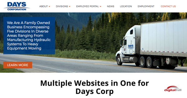 Multiple Websites in One for Days Corp-315