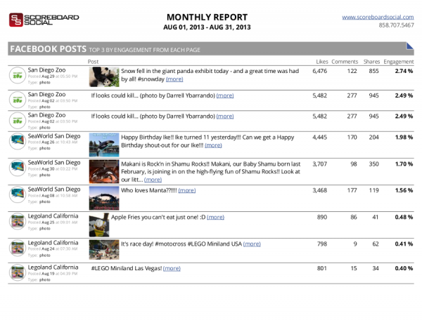 ScoreboardSocial Monthly Report Example 3