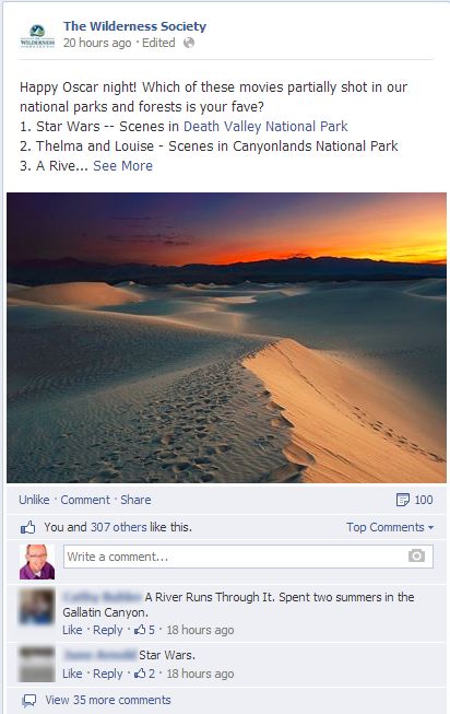 www facebook com TheWildernessSociety 3 Key Elements of a Digital Marketing Strategy