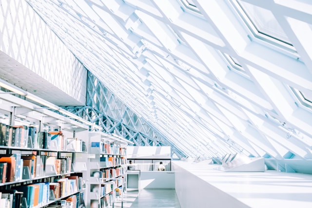 Digital Libraries Demystified: How They Work and Why to Use Them