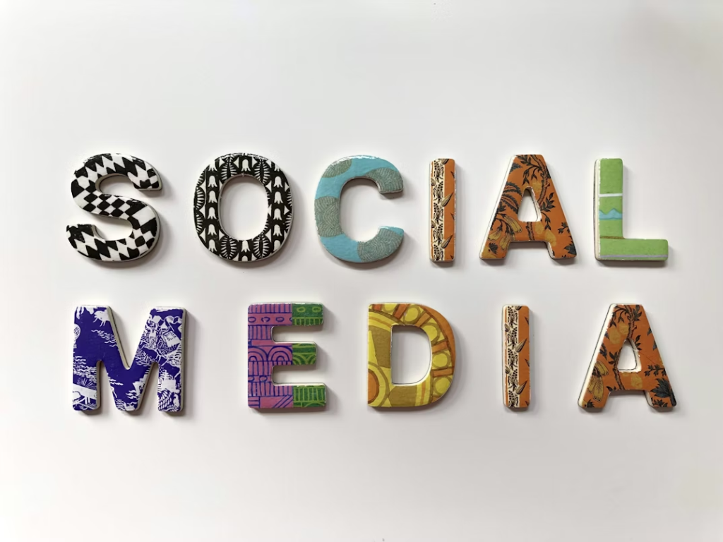 Social Media Promotion Tactics for Niche Audiences